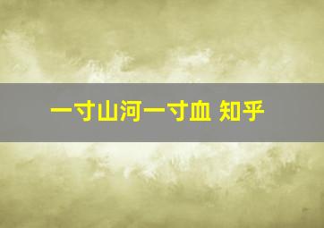 一寸山河一寸血 知乎